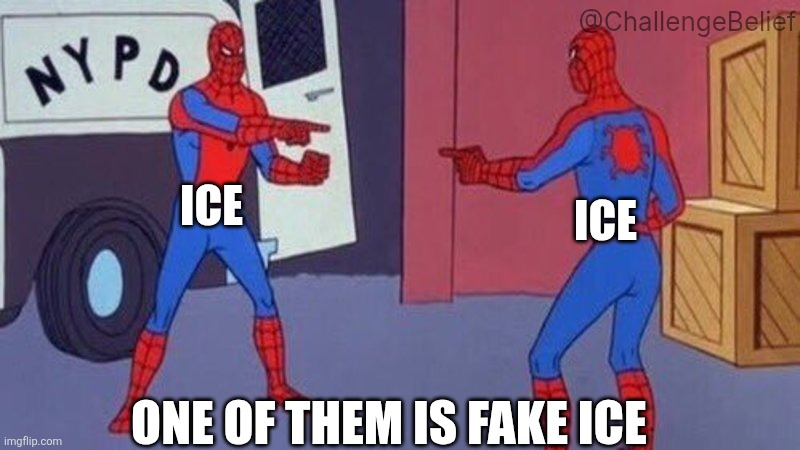 Fake ICE | @ChallengeBelief; ICE; ICE; ONE OF THEM IS FAKE ICE | image tagged in spiderman pointing at spiderman | made w/ Imgflip meme maker