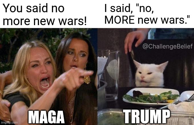 More wars | You said no more new wars! I said, "no, MORE new wars."; @ChallengeBelief; TRUMP; MAGA | image tagged in memes,woman yelling at cat | made w/ Imgflip meme maker