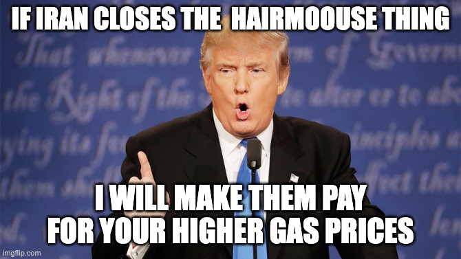 Donald Trump Wrong | IF IRAN CLOSES THE  HAIRMOOUSE THING; I WILL MAKE THEM PAY FOR YOUR HIGHER GAS PRICES | image tagged in donald trump wrong | made w/ Imgflip meme maker