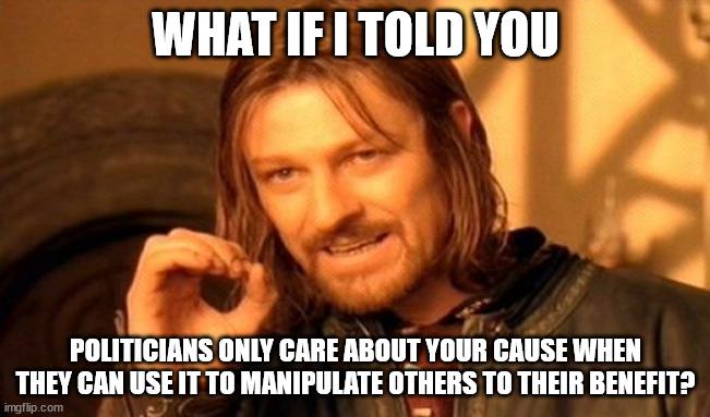 Political Manipulation | WHAT IF I TOLD YOU; POLITICIANS ONLY CARE ABOUT YOUR CAUSE WHEN THEY CAN USE IT TO MANIPULATE OTHERS TO THEIR BENEFIT? | image tagged in memes,one does not simply,manipulation,activism,they don't care | made w/ Imgflip meme maker
