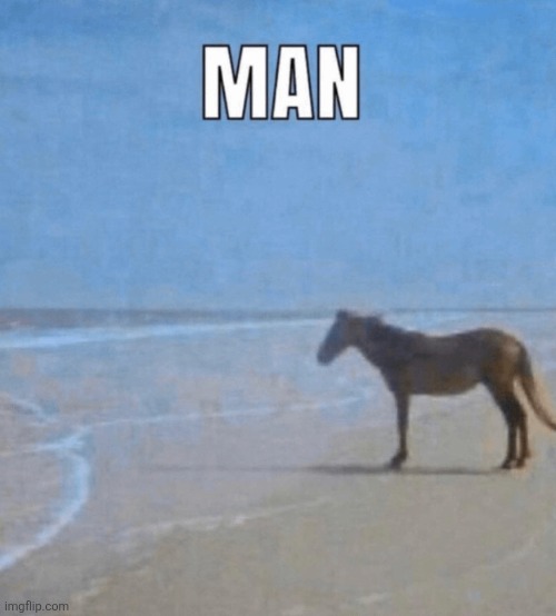 image tagged in horse man beach | made w/ Imgflip meme maker