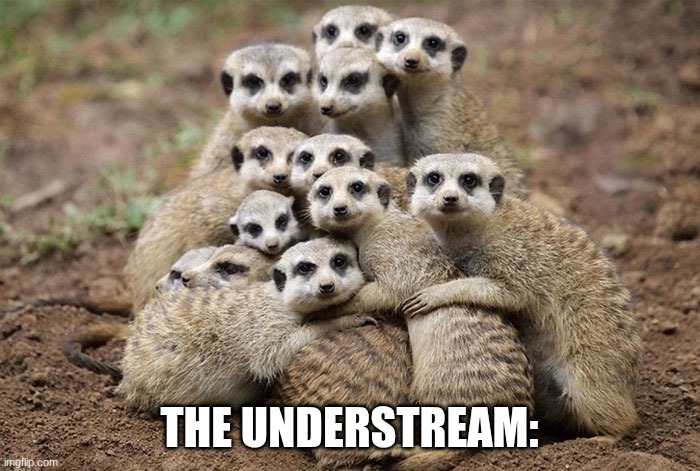 Animals Hugging | THE UNDERSTREAM: | image tagged in animals hugging | made w/ Imgflip meme maker