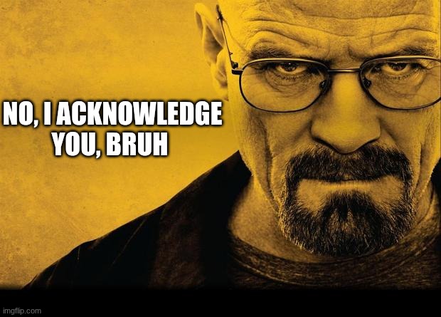 Breaking bad | NO, I ACKNOWLEDGE YOU, BRUH | image tagged in breaking bad | made w/ Imgflip meme maker