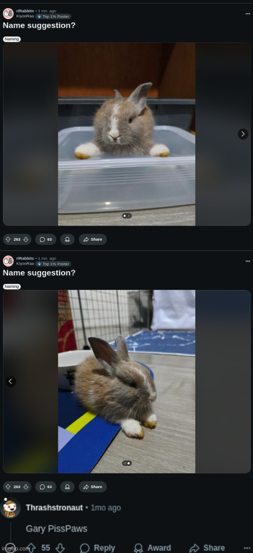 poor baby | made w/ Imgflip meme maker