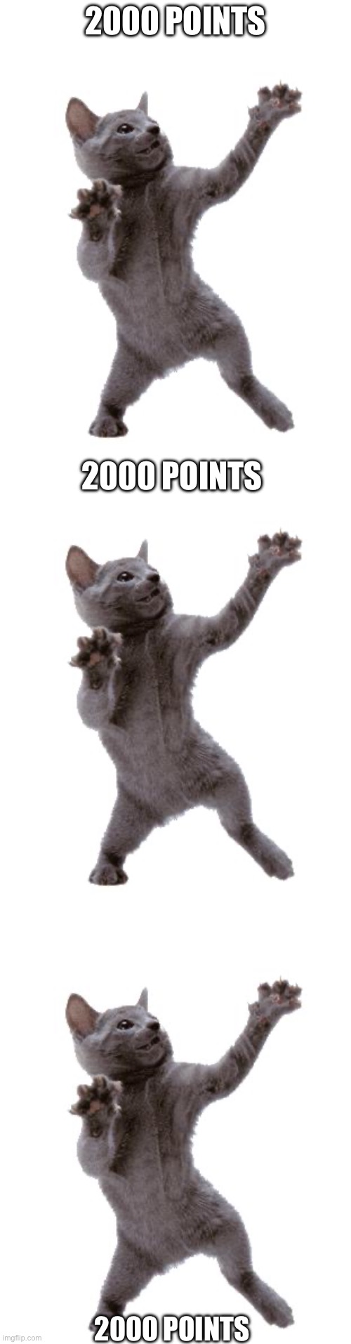 OMGGGGG!!!!!!! | 2000 POINTS; 2000 POINTS; 2000 POINTS | image tagged in happy dance cat,2000 points | made w/ Imgflip meme maker