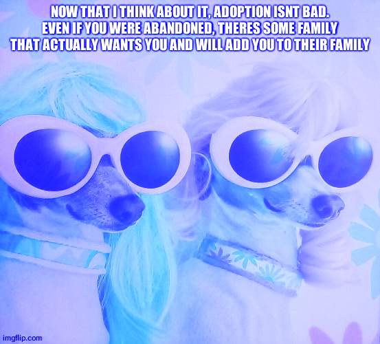 Groovy dawgs | NOW THAT I THINK ABOUT IT, ADOPTION ISNT BAD. EVEN IF YOU WERE ABANDONED, THERES SOME FAMILY THAT ACTUALLY WANTS YOU AND WILL ADD YOU TO THEIR FAMILY | image tagged in groovy dawgs | made w/ Imgflip meme maker