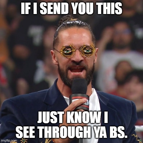 If I send you this | IF I SEND YOU THIS; JUST KNOW I SEE THROUGH YA BS. | image tagged in seth rollins,funny,bullshit,lies,moron | made w/ Imgflip meme maker