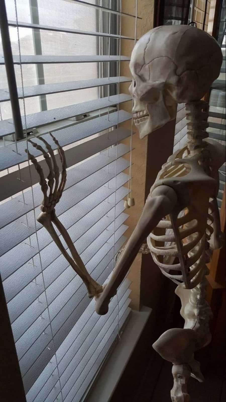 Waiting Blank Meme Template