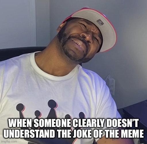 When they don’t understand the meme | WHEN SOMEONE CLEARLY DOESN’T UNDERSTAND THE JOKE OF THE MEME | image tagged in wtf,meme,funny,relatable,lmfao,gangsta | made w/ Imgflip meme maker