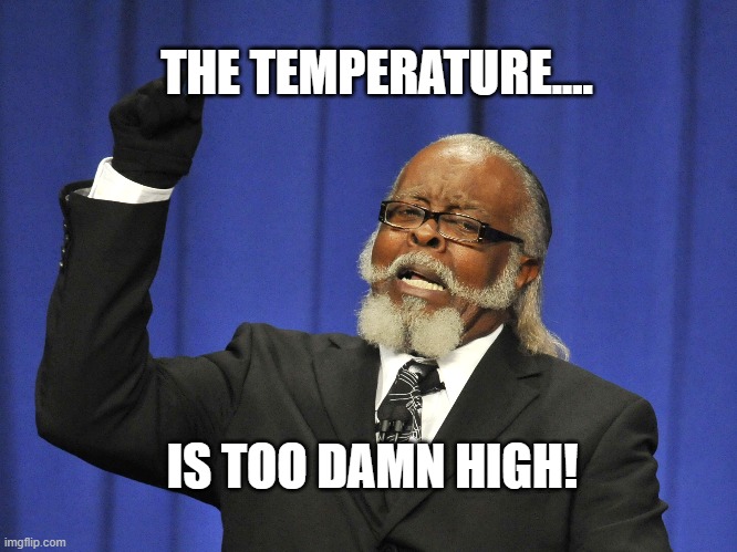The temperature | THE TEMPERATURE.... IS TOO DAMN HIGH! | image tagged in too damn high,funny,funny memes | made w/ Imgflip meme maker