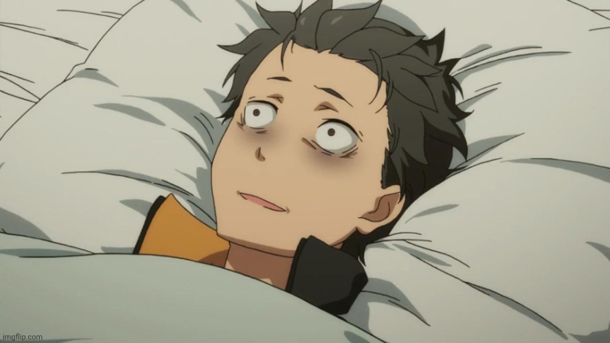 re:zero subaru | image tagged in re zero subaru | made w/ Imgflip meme maker