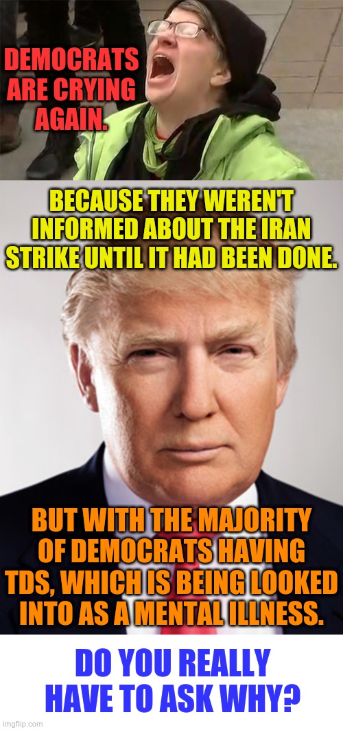 Do You Really Have To Ask Why? | DEMOCRATS ARE CRYING AGAIN. BECAUSE THEY WEREN'T INFORMED ABOUT THE IRAN STRIKE UNTIL IT HAD BEEN DONE. BUT WITH THE MAJORITY OF DEMOCRATS HAVING TDS, WHICH IS BEING LOOKED INTO AS A MENTAL ILLNESS. DO YOU REALLY HAVE TO ASK WHY? | image tagged in crying liberal,donald trump,iran,strike,politics,memes | made w/ Imgflip meme maker