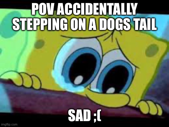 Aaaaaawoooooooooooooooo | POV ACCIDENTALLY STEPPING ON A DOGS TAIL; SAD ;( | image tagged in sad spongebob | made w/ Imgflip meme maker