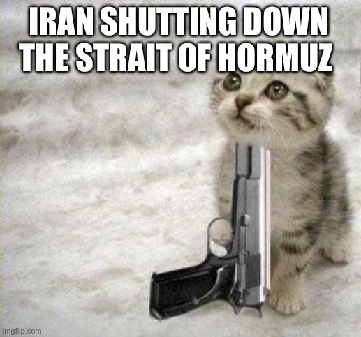 suicide | IRAN SHUTTING DOWN THE STRAIT OF HORMUZ | image tagged in suicide,iran,politics,political meme,usa,politics lol | made w/ Imgflip meme maker