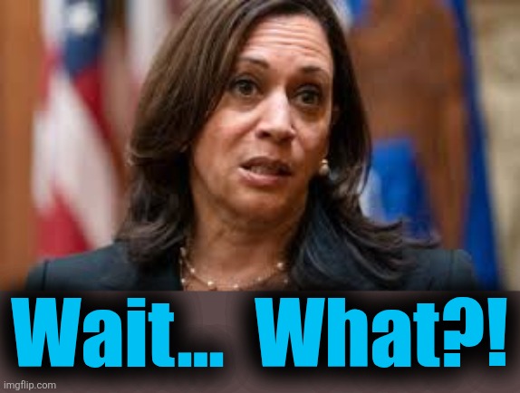 Kamala confused | Wait...  What?! | image tagged in kamala confused | made w/ Imgflip meme maker
