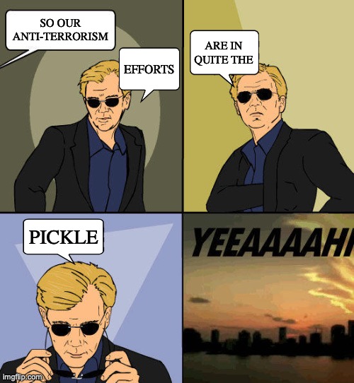 CSI: Miami YEEAAAAHH | SO OUR
ANTI-TERRORISM; ARE IN QUITE THE; EFFORTS; PICKLE | image tagged in csi miami yeeaaaahh | made w/ Imgflip meme maker