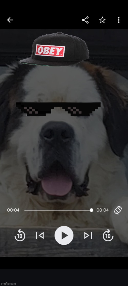 My neighbor's big dog | image tagged in obey | made w/ Imgflip meme maker