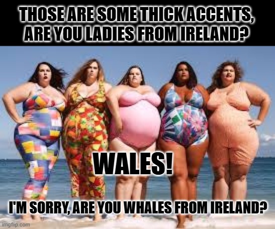 And the next thing I new, I was waking up in the hospital. | THOSE ARE SOME THICK ACCENTS, ARE YOU LADIES FROM IRELAND? WALES! I'M SORRY, ARE YOU WHALES FROM IRELAND? | image tagged in land whale stampede | made w/ Imgflip meme maker