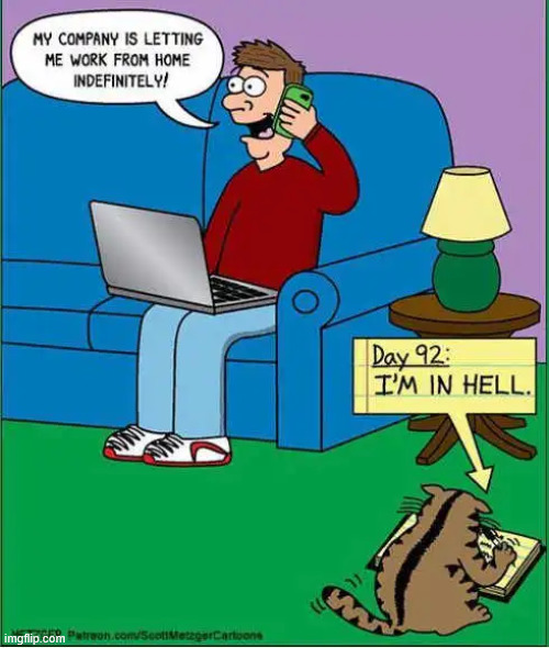 Work from home | image tagged in repost,work from home | made w/ Imgflip meme maker