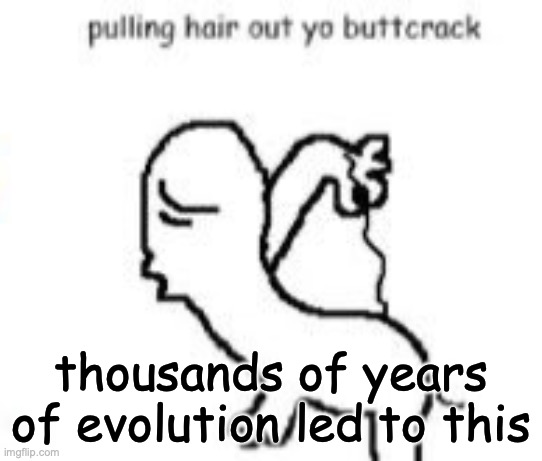 Pulling hair out yo buttcrack | thousands of years of evolution led to this | image tagged in pulling hair out yo buttcrack | made w/ Imgflip meme maker