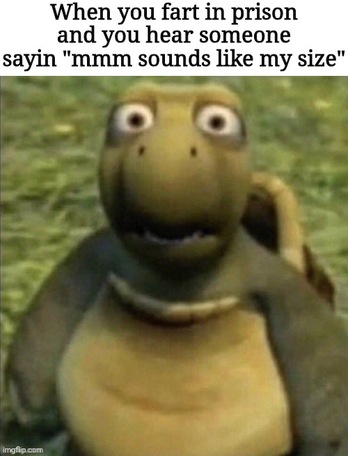 Distressed Vern | When you fart in prison and you hear someone sayin "mmm sounds like my size" | image tagged in distressed vern,memes,don't drop the soap | made w/ Imgflip meme maker
