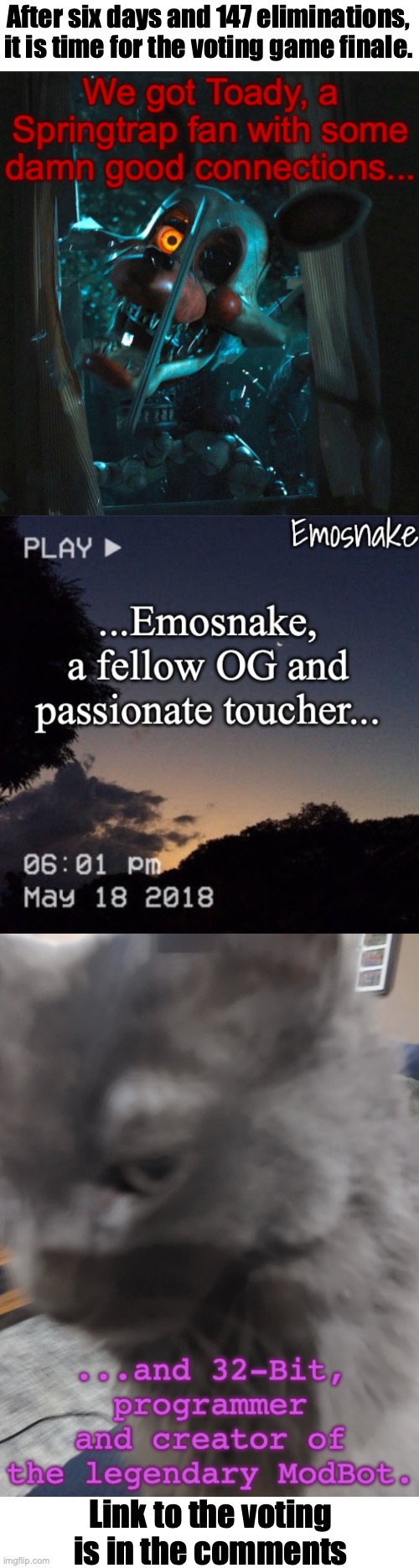 Check the comments. Let the finale begin. | After six days and 147 eliminations, it is time for the voting game finale. Link to the voting is in the comments | image tagged in voting game s10 | made w/ Imgflip meme maker