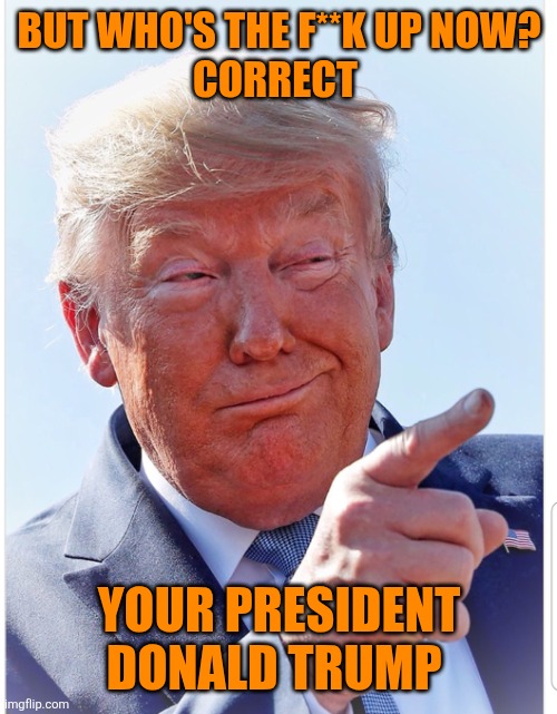 Trump pointing | BUT WHO'S THE F**K UP NOW?
CORRECT YOUR PRESIDENT DONALD TRUMP | image tagged in trump pointing | made w/ Imgflip meme maker
