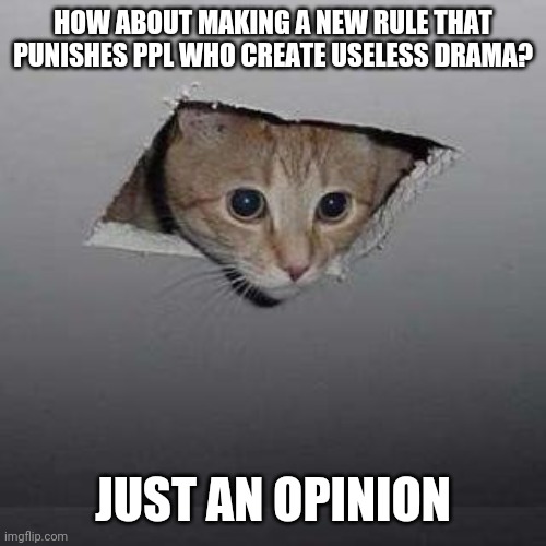 Ceiling Cat | HOW ABOUT MAKING A NEW RULE THAT PUNISHES PPL WHO CREATE USELESS DRAMA? JUST AN OPINION | image tagged in memes,ceiling cat | made w/ Imgflip meme maker