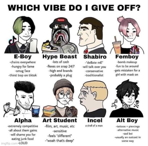 None of these tbh | image tagged in which vibe do i give off | made w/ Imgflip meme maker