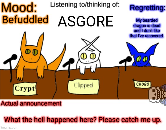 Seriously, tf??
(Guys, tell her) | ASGORE; My bearded dragon is dead and I don't like that I've recovered. Befuddled; What the hell happened here? Please catch me up. | image tagged in dungeonkeeper announcement temp | made w/ Imgflip meme maker