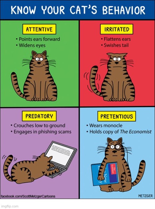 Neither one of my cats own a monocle… | image tagged in cats,comics/cartoons,cats behavior | made w/ Imgflip meme maker