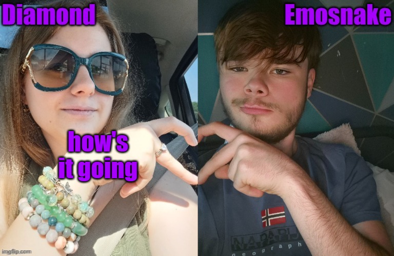 Diamond and ES shared couple temp | how's it going | image tagged in diamond and es shared couple temp | made w/ Imgflip meme maker