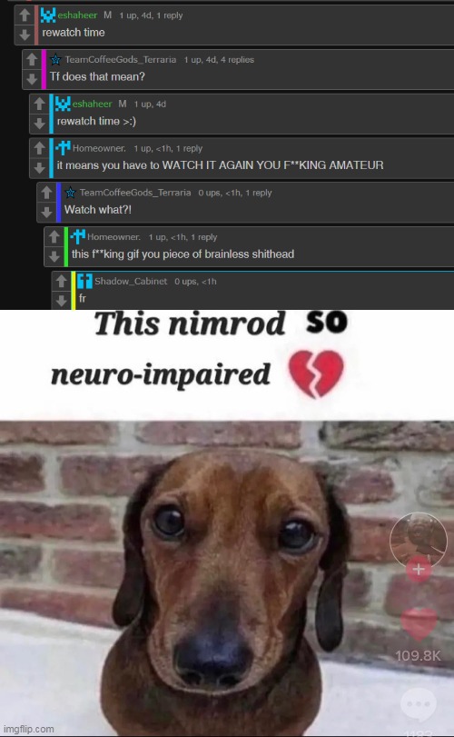 image tagged in this nimrod so neuro-impaired | made w/ Imgflip meme maker