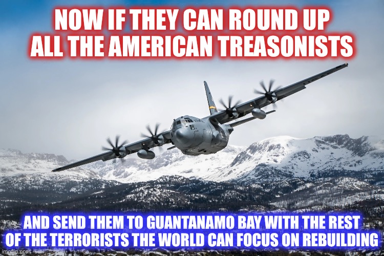 C-130 Hercules | NOW IF THEY CAN ROUND UP ALL THE AMERICAN TREASONISTS AND SEND THEM TO GUANTANAMO BAY WITH THE REST OF THE TERRORISTS THE WORLD CAN FOCUS ON | image tagged in c-130 hercules | made w/ Imgflip meme maker