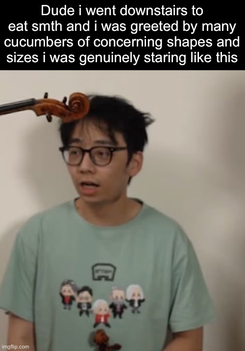 Dude i went downstairs to eat smth and i was greeted by many cucumbers of concerning shapes and sizes i was genuinely staring like this | made w/ Imgflip meme maker