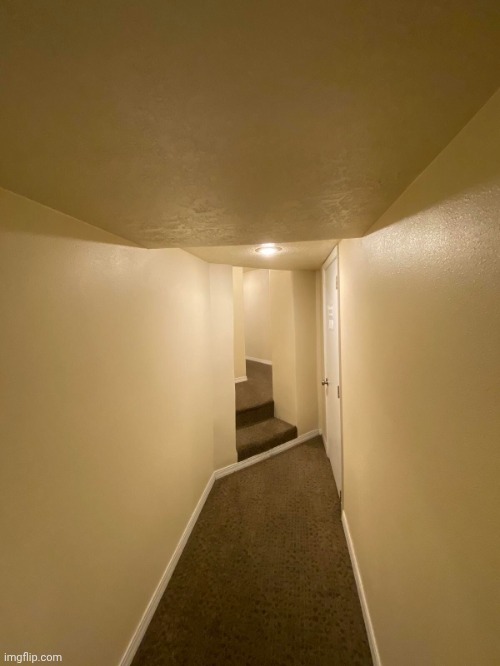 Instagram 26th February 2025 | image tagged in liminal hotel hallway | made w/ Imgflip meme maker