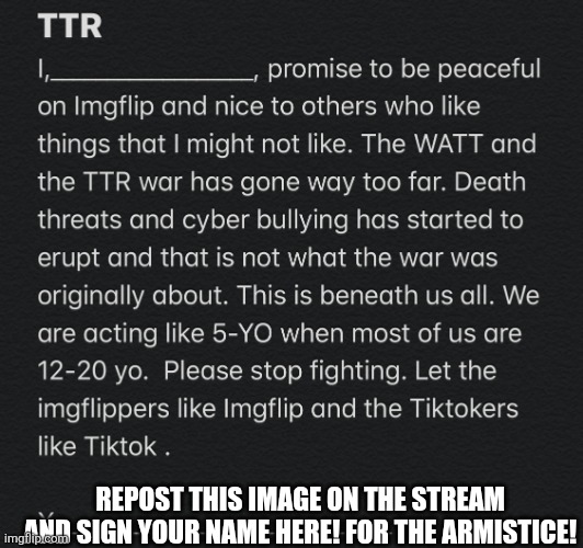 PEACE TREATY | REPOST THIS IMAGE ON THE STREAM AND SIGN YOUR NAME HERE! FOR THE ARMISTICE! | image tagged in peace treaty | made w/ Imgflip meme maker
