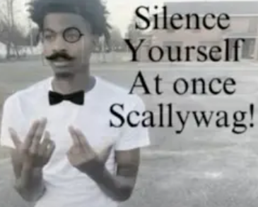 Silence yourself at once scallywag! Blank Meme Template