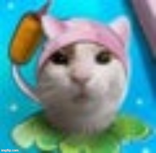 I’m sex toady Blank Meme Template