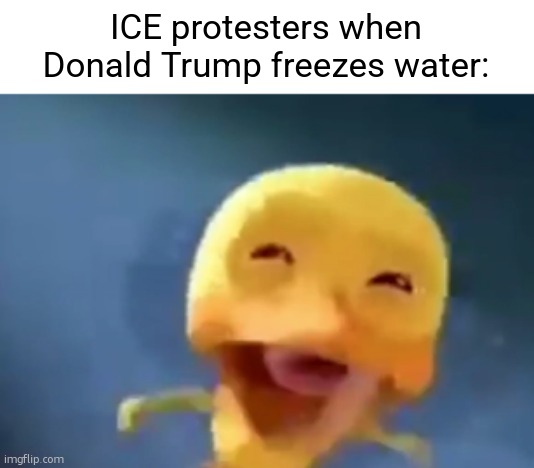 5 upvotes and i post this in politics | ICE protesters when Donald Trump freezes water: | image tagged in crying duck | made w/ Imgflip meme maker