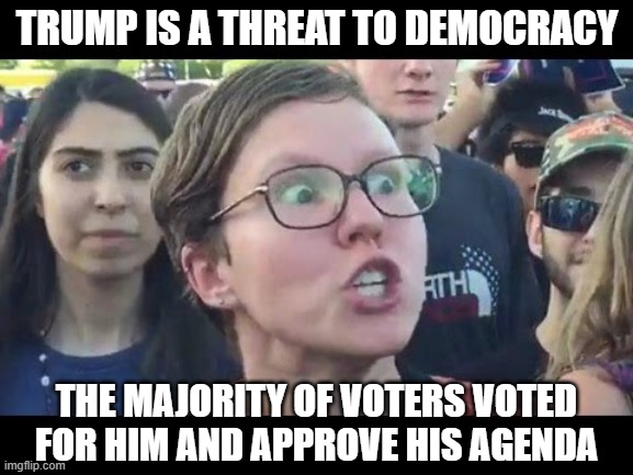 Angry sjw | TRUMP IS A THREAT TO DEMOCRACY; THE MAJORITY OF VOTERS VOTED FOR HIM AND APPROVE HIS AGENDA | image tagged in angry sjw | made w/ Imgflip meme maker