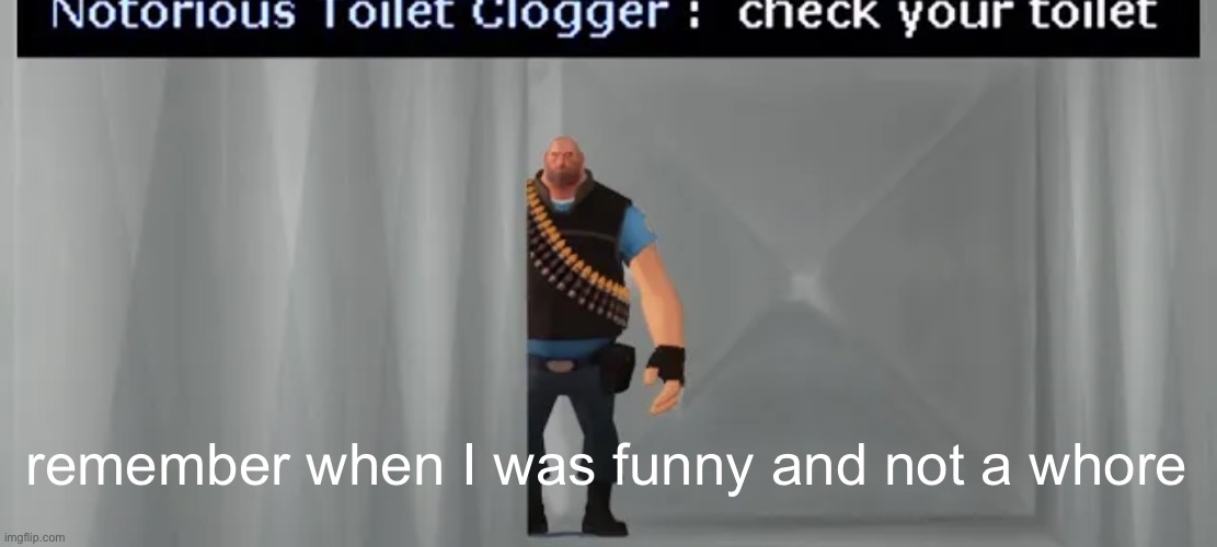 check your toilet | remember when I was funny and not a whore | image tagged in check your toilet | made w/ Imgflip meme maker