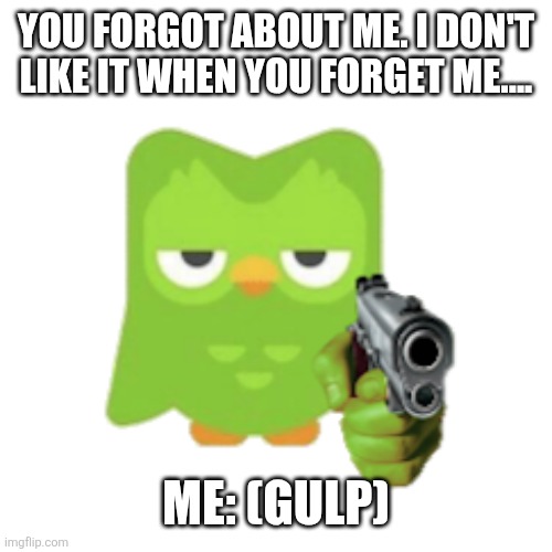 Don't forget him! | YOU FORGOT ABOUT ME. I DON'T LIKE IT WHEN YOU FORGET ME.... ME: (GULP) | image tagged in duolingo | made w/ Imgflip meme maker