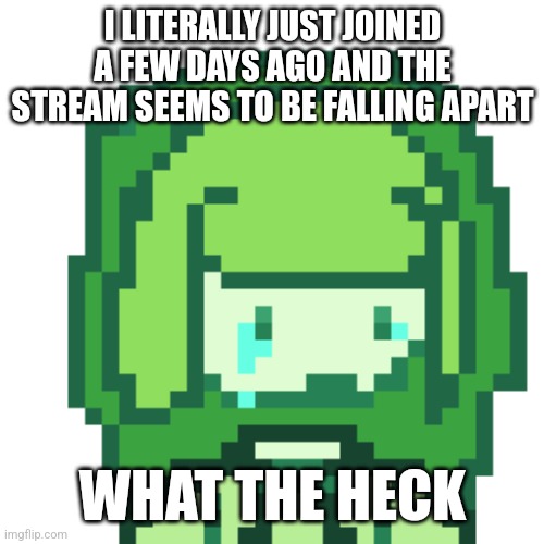 :/ | I LITERALLY JUST JOINED A FEW DAYS AGO AND THE STREAM SEEMS TO BE FALLING APART; WHAT THE HECK | made w/ Imgflip meme maker