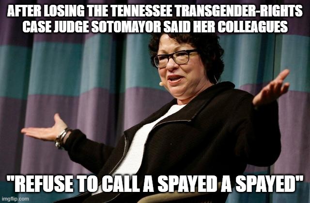 or something like that | AFTER LOSING THE TENNESSEE TRANSGENDER-RIGHTS CASE JUDGE SOTOMAYOR SAID HER COLLEAGUES; "REFUSE TO CALL A SPAYED A SPAYED" | image tagged in justice sotomayor | made w/ Imgflip meme maker