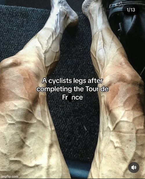 Tree roots | made w/ Imgflip meme maker