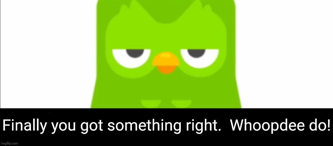 Duo doesn't care | Finally you got something right.  Whoopdee do! | image tagged in duolingo was unimpressed | made w/ Imgflip meme maker