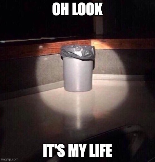 Trash Can Spotlight | OH LOOK; IT'S MY LIFE | image tagged in trash can spotlight | made w/ Imgflip meme maker