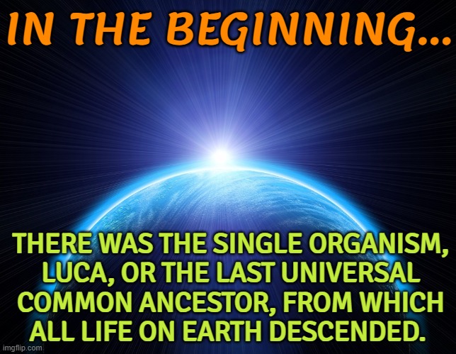 In The Beginning... There Was The Single Organism, Luca, From Which All Life On Earth Descended. | IN THE BEGINNING... THERE WAS THE SINGLE ORGANISM,
LUCA, OR THE LAST UNIVERSAL
COMMON ANCESTOR, FROM WHICH
ALL LIFE ON EARTH DESCENDED. | image tagged in in the beginning,life,evolution,charles darwin,anti-religion,god religion universe | made w/ Imgflip meme maker