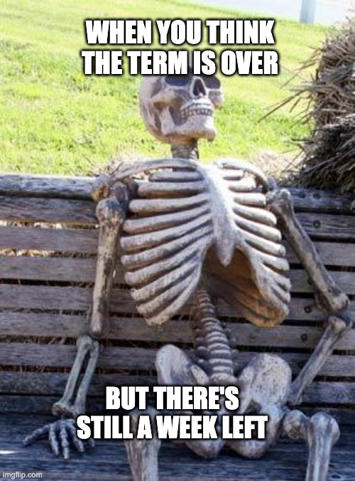 School be like... | WHEN YOU THINK THE TERM IS OVER; BUT THERE'S STILL A WEEK LEFT | image tagged in memes,waiting skeleton | made w/ Imgflip meme maker